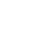 Fruit Icon.png