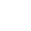 Mushroom Icon.png