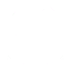 Other Icon.png
