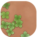 Overgrown Dirt Path Icon.png