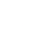 Skin Tone Icon.png