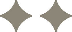 2 Stars Icon.png