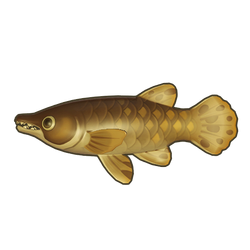 Alligator Gar Icon.png