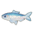 Anchovy