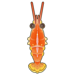 Angel Red Shrimp Icon.png