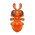 Army Ant