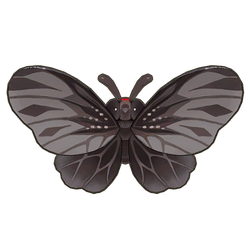 Aurora Swallowtail Icon.png