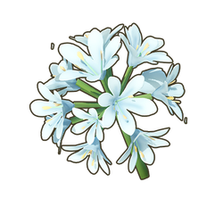 Baby Blue Agapanthus Icon.png