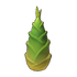 Bamboo Shoot