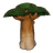 Baobab Tree