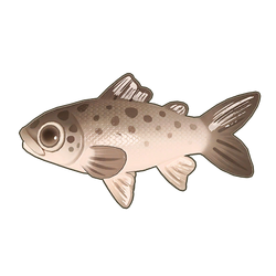 Bay Salmon Icon.png