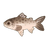 Bay Salmon