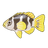 Black-Saddled Coral Grouper