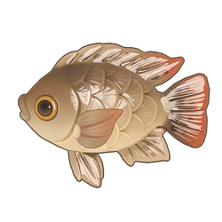 Black Tilapia Render.png