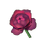 Black Velvet Mooncycle Rose