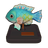 Blackspot Tuskfish Model