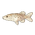 Blackspotted Pike