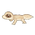 Blizzard Leopard Gecko