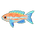 Blue Neon Cichlid