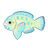 Blue Trim Parrotfish