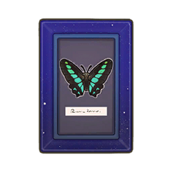 Bluebottle Wall Art Icon.png