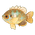 Bluegill