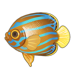 Bluelined Angelfish Icon.png