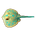 Bluespotted Ribbontail Ray