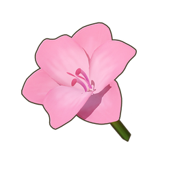 Blush Amaryllis Icon.png