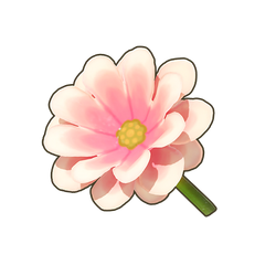 Blush Dwarf Dahlia Icon.png