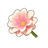 Blush Dwarf Dahlia
