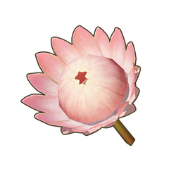 Blush King Protea Icon.png