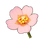 Blush Moss Rose