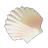Broken Seashell