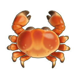 Brown Crab Icon.png
