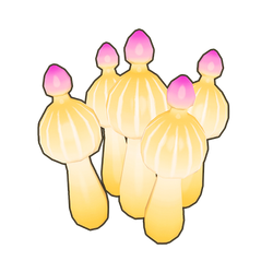 Bubble-Tip Anemone Icon.png