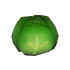 Cabbage