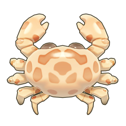 Calico Box Crab Icon.png