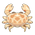 Calico Box Crab