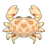 Calico Box Crab