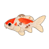 Sanke Koi