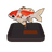 Calico Koi Model