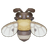 Cape Honey Bee