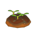 Freshly Planted