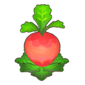 Dreamcrown Crop