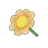 Champagne Daisy