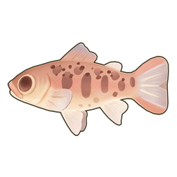 Cherry Salmon Icon.png