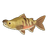 Chum Salmon