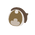 Cloud Waltz Eyes