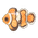 Clownfish